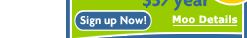 Mini Moo: Domain Name Parking, Coming Soon Page, 1 Email Account