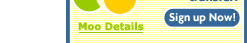 Grow Your Own Web Hosting Plan: Start with our $99 plan and add up  to 500 MB of disk space and/or 15GB of network transfer